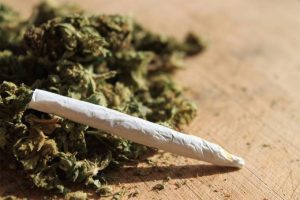 saude-maconha-alerta-saúde-24-horas