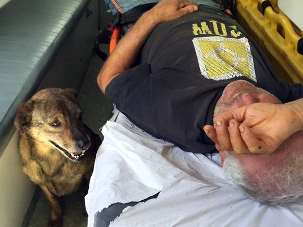 Imagem mostra cachorro ao lado de dono em ambulância em Poços, MG