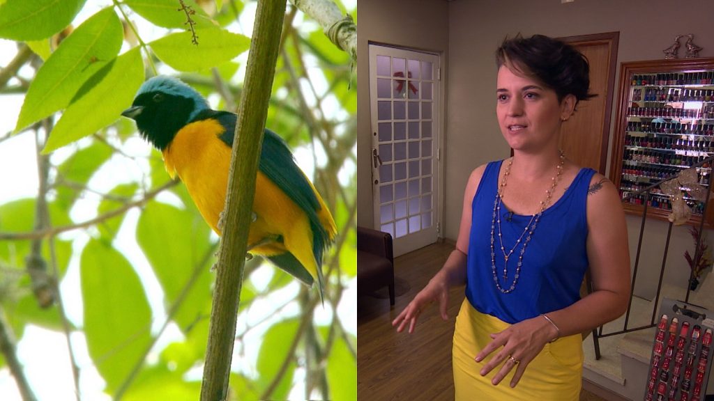 Aves servem de inspiração para as roupas criadas por empresária de São Paulo